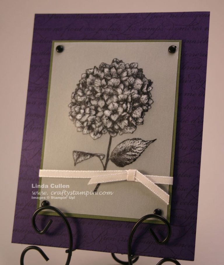 More Hydrangea’s