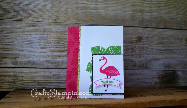 Flamingo!!  Pop of Paradise