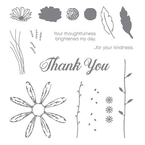 daisy delight stamp set Stampin up image