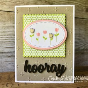 July 2017 Paper Pumpkin Alternative - Linda Cullen - Crafty Stampin