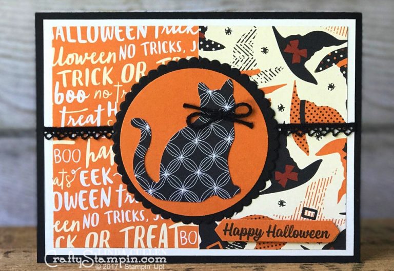 Halloween Kitty Cat