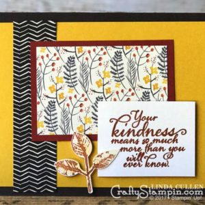 Painted Autumn Kindness | Stampin Up Demonstrator Linda Cullen | Crafty Stampin’ | Purchase your Stampin’ Up Supplies | Painted Harvest Stamp Set | Painted Autumn Designer Series Paper | Leaf Punch