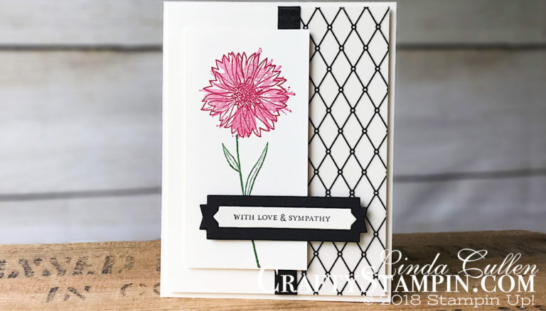 Coffee & Crafts Class: Touches of Texture w/ Graceful Glass DSP | Stampin Up Demonstrator Linda Cullen | Crafty Stampin’ | Purchase your Stampin’ Up Supplies | Touches of Texture Stamp Set | Itty Bitty Greetings Stamp Set | Lakeside Framelits Dies | Graceful Glass Designer Vellum | Basic Black 3/8 Shimmer Ribbon