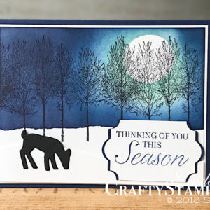 Coffee & Crafts Class: Night Winter Woods | Stampin Up Demonstrator Linda Cullen | Crafty Stampin’ | Purchase your Stampin’ Up Supplies | Winter Woods Stamp Set | Farmhouse Framelits | Detailed Deer Thinlits | Everyday Label Punch | Stampin Sponge |