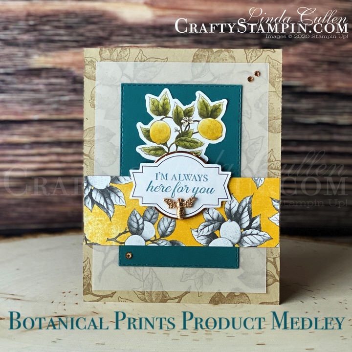 Stampin Scoop Flowering Cactus Product Medley - Crafty Stampin'
