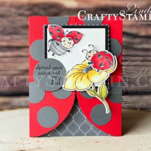 Coffee & Crafts Class: Little Ladybug | Stampin Up Demonstrator Linda Cullen | Crafty Stampin’ | Purchase your Stampin’ Up Supplies | Little Ladybug Stamp Set | Ladybugs Die | Layering Squares Dies | Layering Ovals Dies | Stampin’ Blends