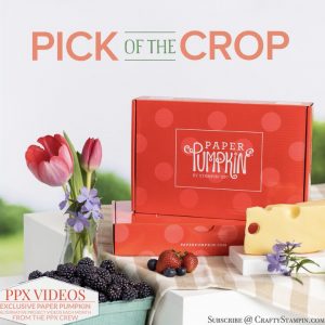 June 2022 Paper Pumpkin Kit | Join Stampin’ Up! | Frequently Asked Questions about becoming a Stampin’ Up! Demonstrator | Join the Craft Stampin’ Crew | Stampin Up Demonstrator Linda Cullen | Crafty Stampin’ | Purchase Stampin’ Up! Product | FAQ about Paper Pumpkin