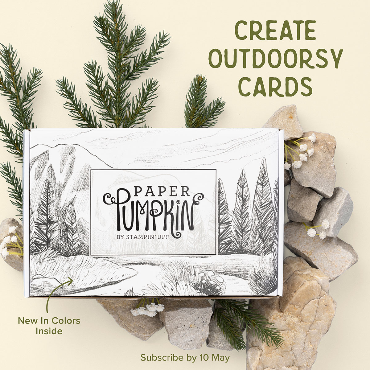 May 2023 Paper Pumpkin Kit Crafty Stampin'