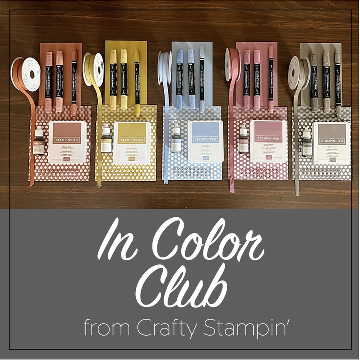 2023-2025 In Color Club