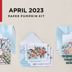 2023/04 - All The Little Things - April 2023 Paper Pumpkin (Opened/Used)