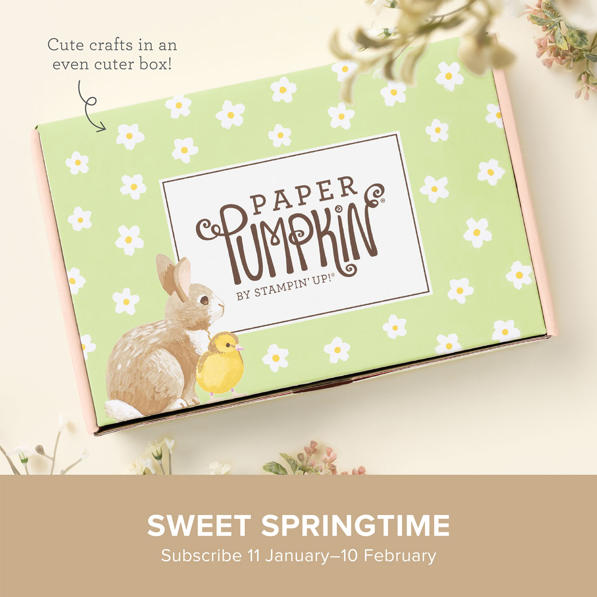 February 2024 Paper Pumpkin Kit Crafty Stampin'