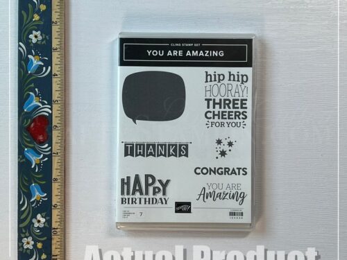 You Are Amazing Stamp Set - Retired