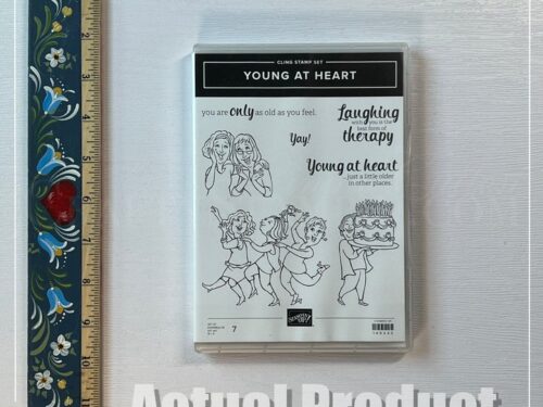 Young At Heart Stamp Set - Retired