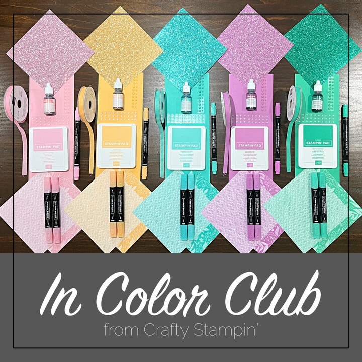 2024-2026 In Color Club