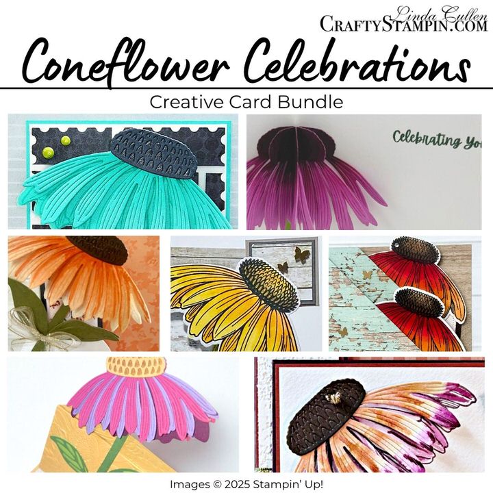 Coneflower Celebration Bundle Creative Card Bundle Tutorial PDF