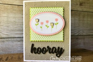 July 2017 Paper Pumpkin Alternative - Linda Cullen - Crafty Stampin