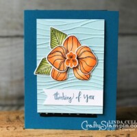 Pumpkin Pie Climbing Orchid with Stampin Blends| Stampin Up Demonstrator Linda Cullen | Crafty Stampin’ | Purchase your Stampin’ Up Supplies | Climbing Orchid Stamp Set | Orchid Builder Framelits | Stampin Blends Markers