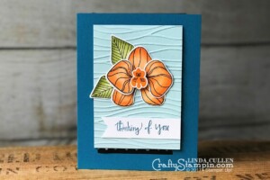 Pumpkin Pie Climbing Orchid with Stampin Blends| Stampin Up Demonstrator Linda Cullen | Crafty Stampin’ | Purchase your Stampin’ Up Supplies | Climbing Orchid Stamp Set | Orchid Builder Framelits | Stampin Blends Markers