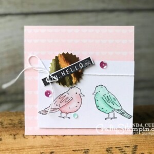 STAMPIN SCOOP RECAP – EPISODE 42 – STAMPIN BLENDS| Stampin Up Demonstrator Linda Cullen | Crafty Stampin’ | Purchase your Stampin’ Up Supplies