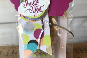 Thank You Package | Spring Sampler | Stampin Up Demonstrator Linda Cullen | Crafty Stampin’ | Purchase your Stampin’ Up Supplies | Label Me Pretty Stamp Set | One Big Meaning Stamp Set | Lots of Labels Thinlits | Picture Perfect Perfect Party Designer Series Paper | Starburst Punch