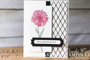 Coffee & Crafts Class: Touches of Texture w/ Graceful Glass DSP | Stampin Up Demonstrator Linda Cullen | Crafty Stampin’ | Purchase your Stampin’ Up Supplies | Touches of Texture Stamp Set | Itty Bitty Greetings Stamp Set | Lakeside Framelits Dies | Graceful Glass Designer Vellum | Basic Black 3/8 Shimmer Ribbon