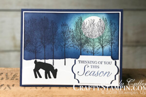 Coffee & Crafts Class: Night Winter Woods | Stampin Up Demonstrator Linda Cullen | Crafty Stampin’ | Purchase your Stampin’ Up Supplies | Winter Woods Stamp Set | Farmhouse Framelits | Detailed Deer Thinlits | Everyday Label Punch | Stampin Sponge |