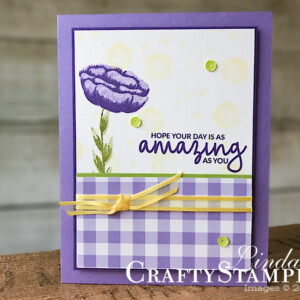Stampin Scoop Incredible Like You Project Kit | Stampin Up Demonstrator Linda Cullen | Crafty Stampin’ | Purchase your Stampin’ Up Supplies | Incredible Like You Stamp Set | Gingham Gala Designer Series Paper | Gingham Gala Adhesive-Backed Sequins | Organdy Ribbon Combo Pack