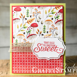 Stampin Scoop All New Sale-a-bration Products | Stampin Up Demonstrator Linda Cullen | Crafty Stampin’ | Purchase your Stampin’ Up Supplies | Painted Seasons Stamp Set | Painted Seasons Designer Series Paper | More Than Words Stamp Set | Rose Trellis Thinlits Dies | Burlap Ribbon | Four Seasons Framelits | Country Floral Dynamic Textures Impressions Embossing Folder