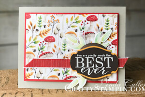Stampin Scoop All New Sale-a-bration Products | Stampin Up Demonstrator Linda Cullen | Crafty Stampin’ | Purchase your Stampin’ Up Supplies | Painted Seasons Stamp Set | Painted Seasons Designer Series Paper | More Than Words Stamp Set | Rose Trellis Thinlits Dies | Burlap Ribbon | Four Seasons Framelits | Country Floral Dynamic Textures Impressions Embossing Folder