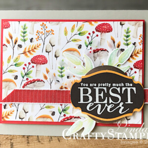 Stampin Scoop All New Sale-a-bration Products | Stampin Up Demonstrator Linda Cullen | Crafty Stampin’ | Purchase your Stampin’ Up Supplies | Painted Seasons Stamp Set | Painted Seasons Designer Series Paper | More Than Words Stamp Set | Rose Trellis Thinlits Dies | Burlap Ribbon | Four Seasons Framelits | Country Floral Dynamic Textures Impressions Embossing Folder
