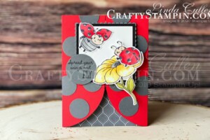 Coffee & Crafts Class: Little Ladybug | Stampin Up Demonstrator Linda Cullen | Crafty Stampin’ | Purchase your Stampin’ Up Supplies | Little Ladybug Stamp Set | Ladybugs Die | Layering Squares Dies | Layering Ovals Dies | Stampin’ Blends