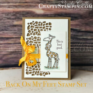 Coffee & Crafts Class: Back On Your Feet - Knot Good | Stampin Up Demonstrator Linda Cullen | Crafty Stampin’ | Purchase your Stampin’ Up Supplies | Back On Your Feet Stamp Set | Animal Friends Dies | Stitched Rectangle Dies | Mosaic Mood Specialty Designer Series Paper | Crushed Curry 3/8” Crinkle Seam Binding Ribbon | Stampin’ Blends